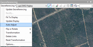 arcgis_georref_cad_7