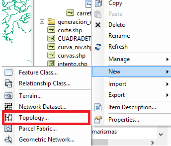 arcgis_topology_4