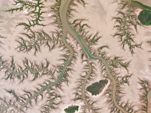 keep-river-mangroves-web