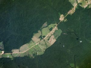 trans-amazonian-highway-web