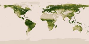 worldvegetation_earthday